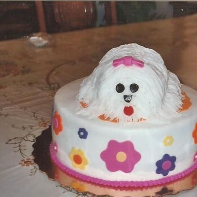 Dog Cake
