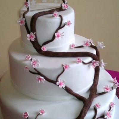 Cherry Blossom Wedding