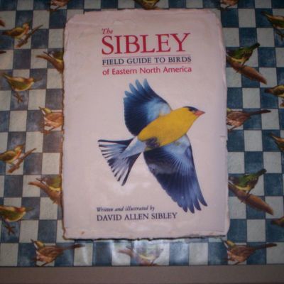 Bird Book Cake