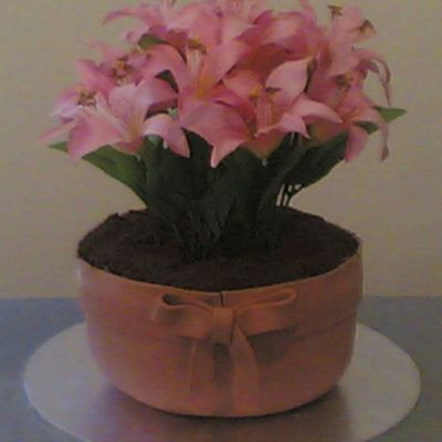 Flower Pot Cake