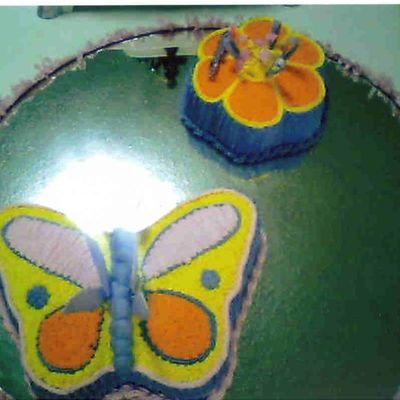 Mariposas Y Flores