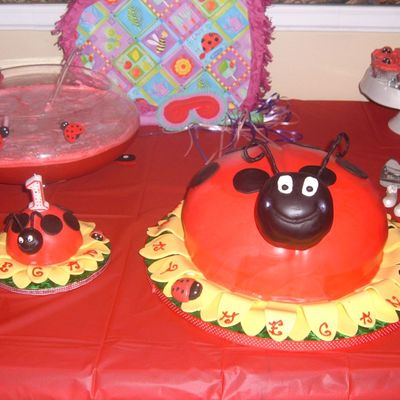 Ladybug Cake With Matching Smash Cake