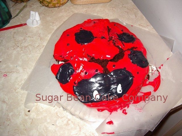 My 1St Ever Cake Experience