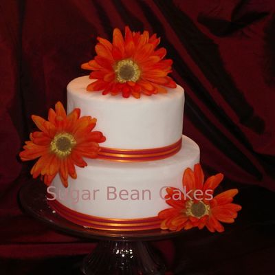 Orange Daisy