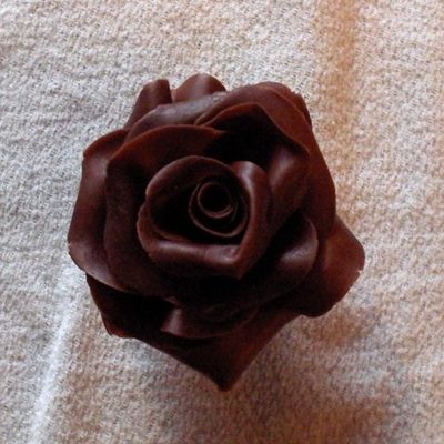 Hpim0117.jpg