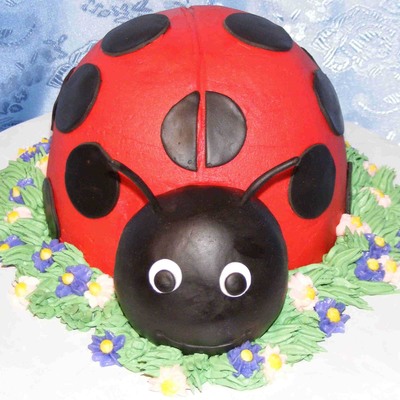 Ladybug