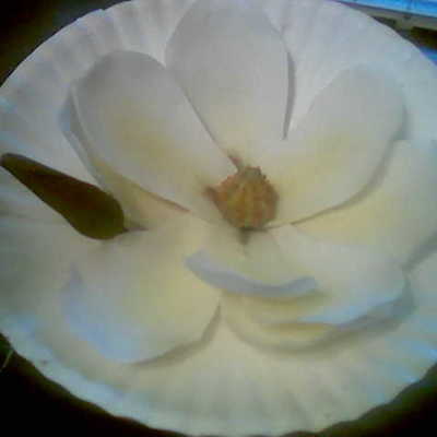 Southern Magnolia