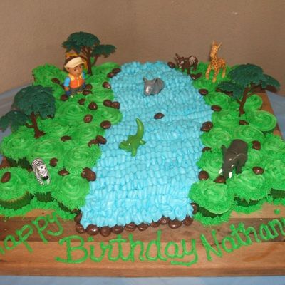 Diego Cupcake Cake