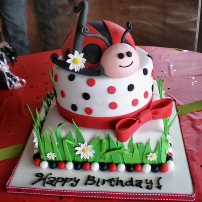 Ladybug 1St Birthday Cake