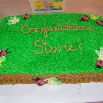 Ladybug Shower Cake