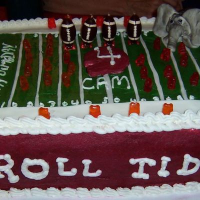 Alabama Roll Tide Cake