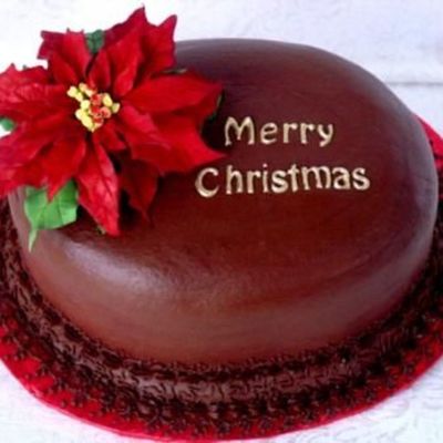 Chocolate Cake With Poinsettia