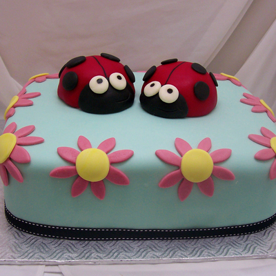 Ladybug Cake