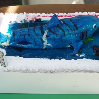 Shark Distaster Other View