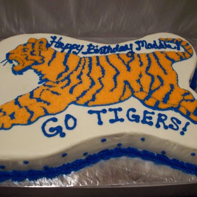 Tiger Bday