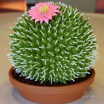 Cactus Cake