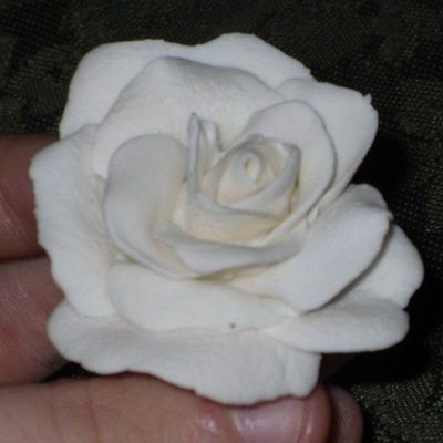 White Rose Gumpaste