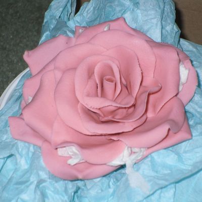 Large Pink Rose