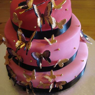 Pink Butterfly Cake