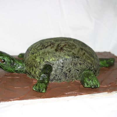 Turtle Cake