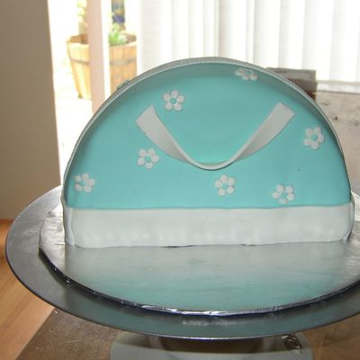 Blue And White Purse