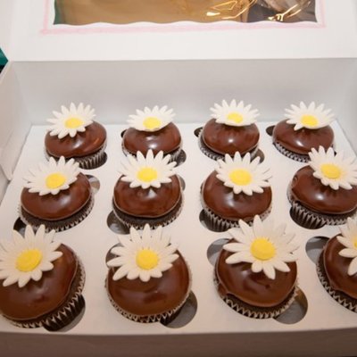 Daisy Cupcakes