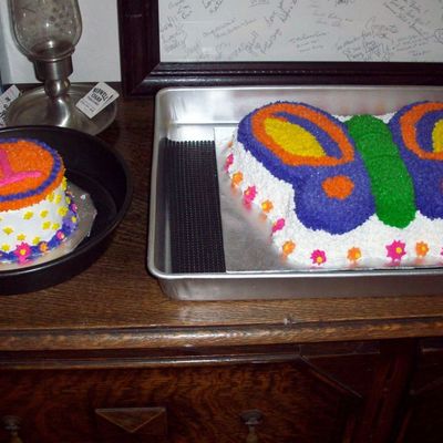 Butterfly And Smash Cake