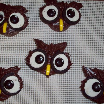 Owl Cupcakes