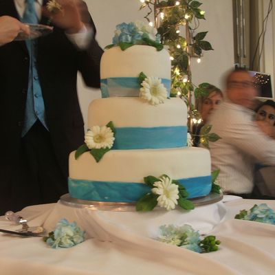 Jeannie,s Fondant Cake