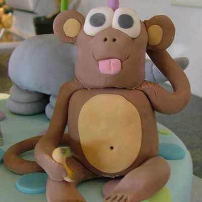Close Up Of Monkey