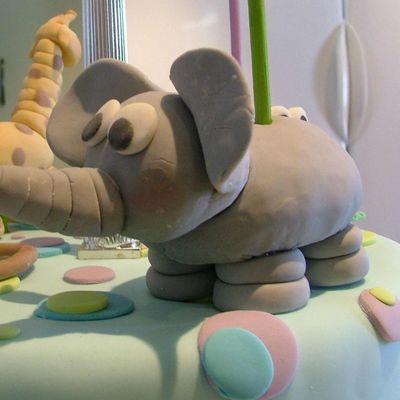 Close Up Of Elephant