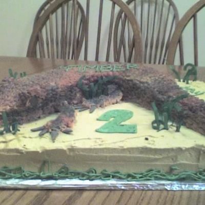 Side View Of Lizard Cake