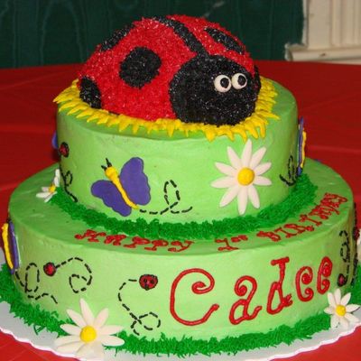 Ladybug Cake
