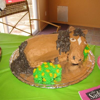 Horse/pony Cake
