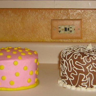 Little Cakes For A Family Bbq