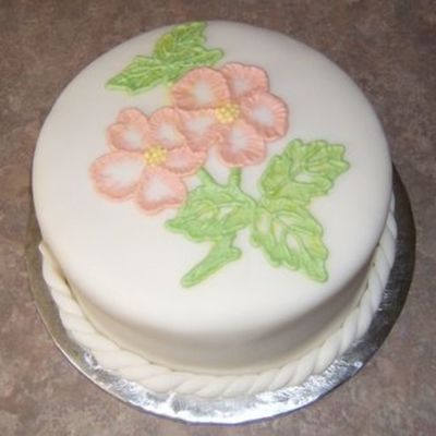 Fondant W/ Brush Embroidery Practice Cake