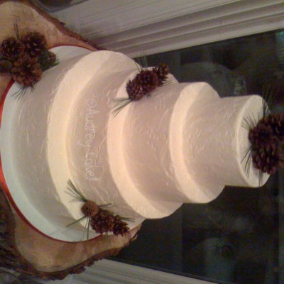 Rustic Pinecone Wedding Cake