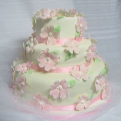 Girls's First Communion