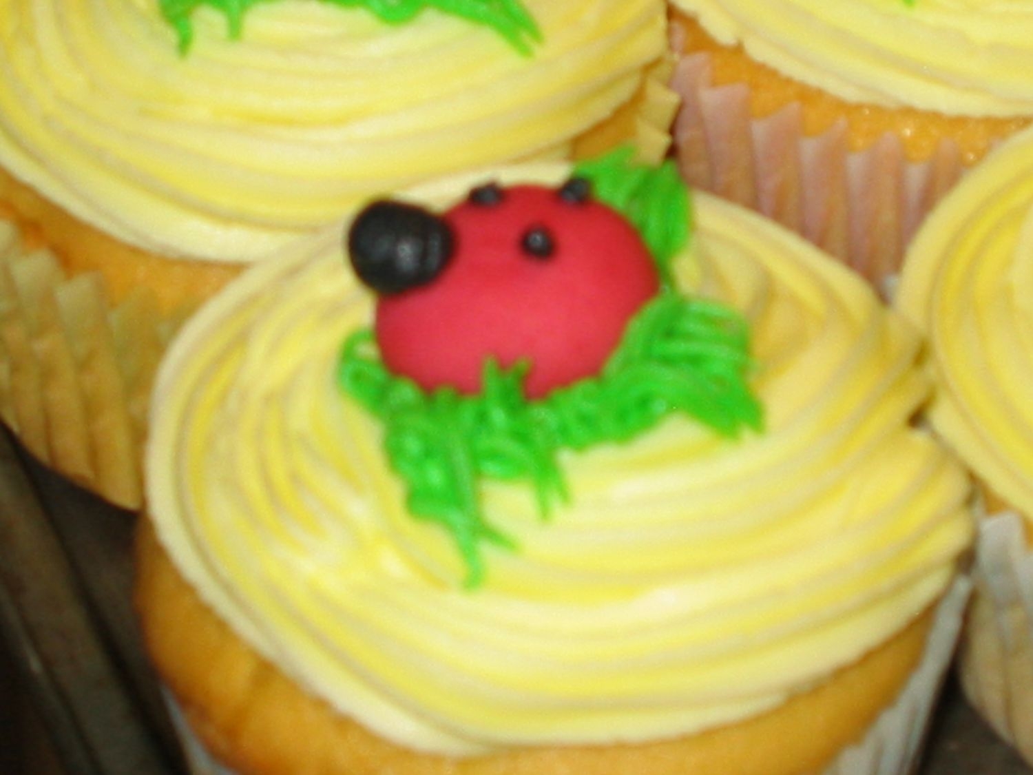 Ladybug Cupakes
