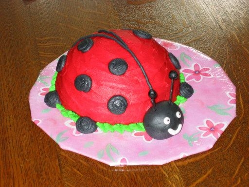 Ladybug Cake For School Picnic