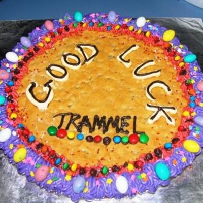 Giant Chocolate Chip Cookie