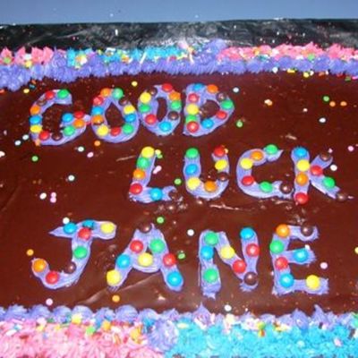 Giant Chocolate Chip Brownie With Dark Chocolate Frosting