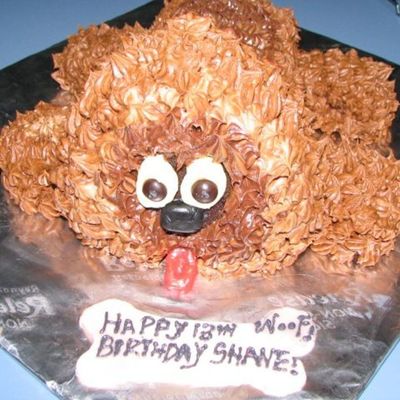 Shane's 13Th Birthday Nov 21 2006