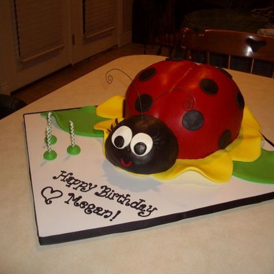 Ladybug