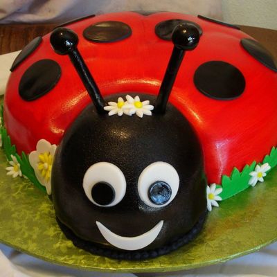 Lady Bug Lady Bug Fly Away Free