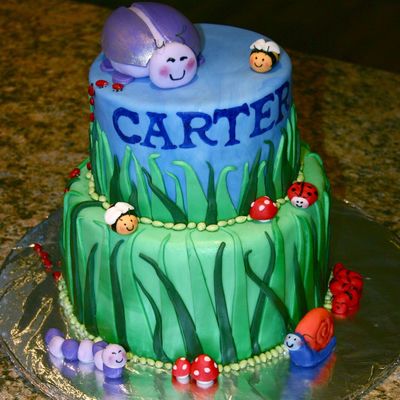 Bug Cake