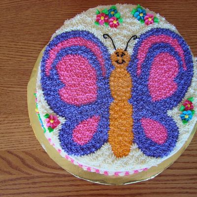 Butterfly Cake