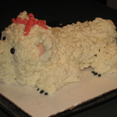 Is It A Dog Or A Bear?