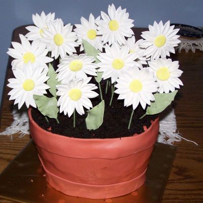 Flower Pot Cake