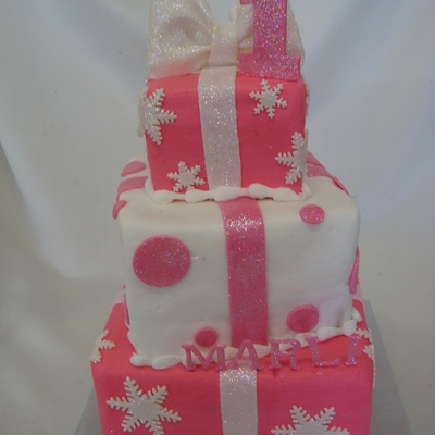 Winter 1St Birthday